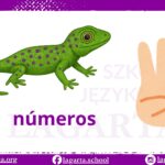 Liczby Liczby po hiszpańsku – números