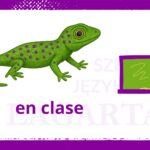 Na lekcji Zwroty przydatne na lekcji hiszpańskiego – en clase